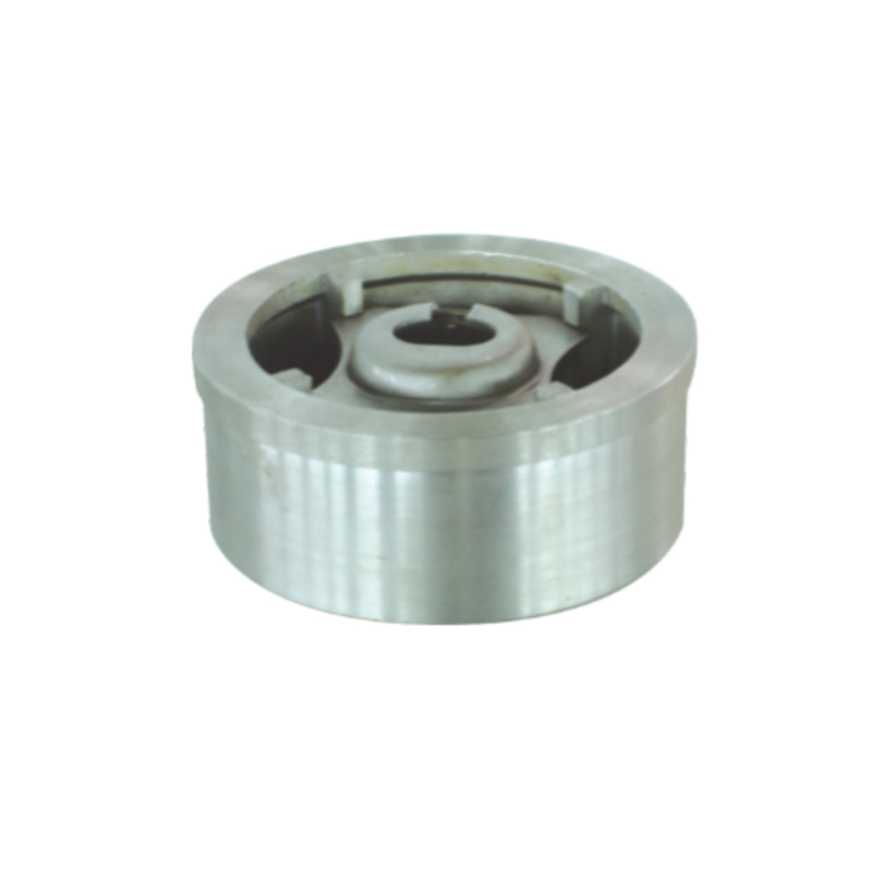 Wafer type wear check valve