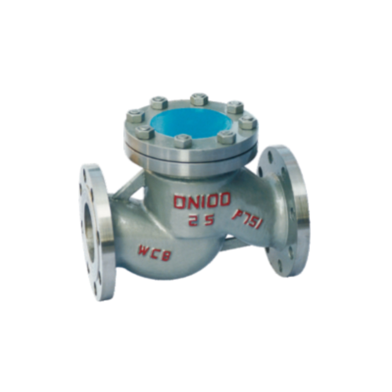 Lift and Vertical Check Valves