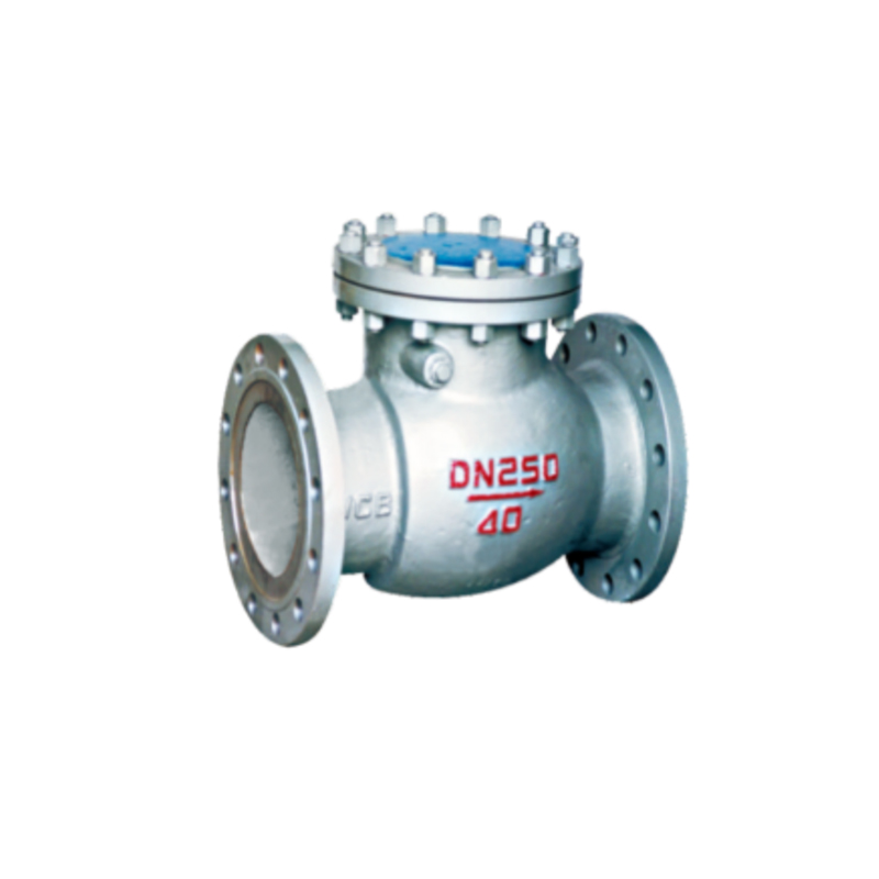 Swing Check Valve