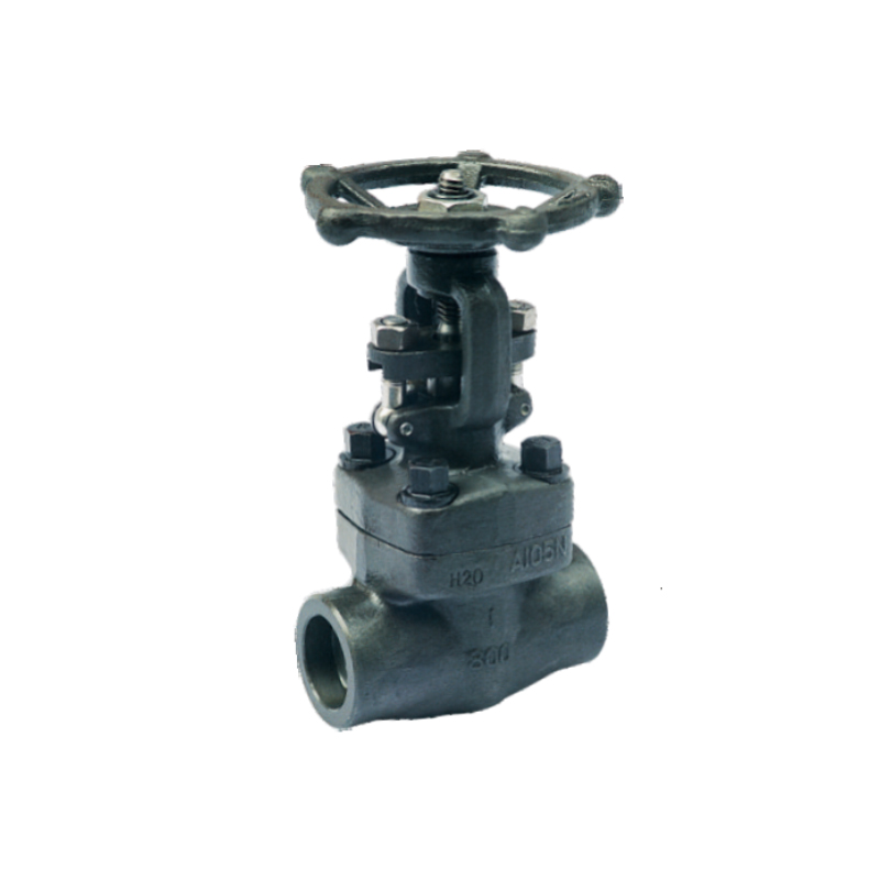 Forged Steel Globe Valve